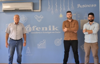 Fenik Consultoria: Consultoria e Tecnologia para empresas que buscam crescer