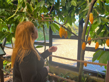 Nugali Chocolates: ponto turístico de Pomerode recebe 200 mil visitantes em dois anos