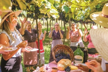Ainda é tempo de Vindima na Serra Gaúcha