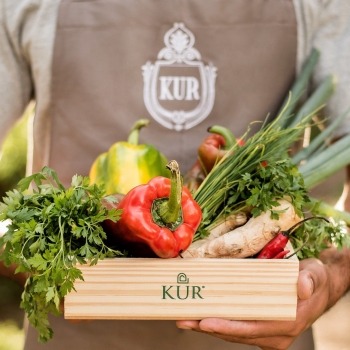 Legumes que contribuem para o emagrecimento