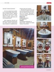 Revista Sucesso – Edição 175 | Página 33