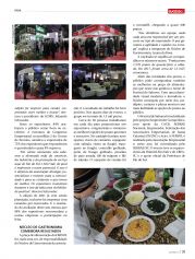 Revista Sucesso - Edição 170 | Página 31