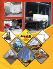 REVISTA SUCESSO AUTOS – EDIÇÃO 02 | Página 31